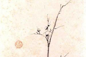 老梅新枝图