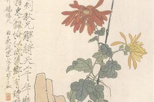 菊石图