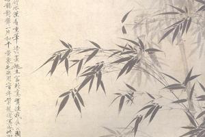 双飞喜鹊
