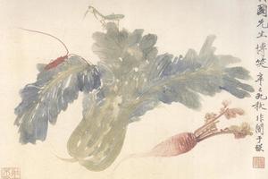 蔬菜草虫