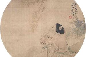 花卉图册