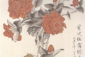 山茶蝴蝶