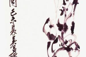玉兰花