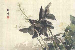 花卉图册
