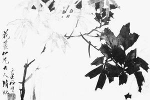 修竹月季纨扇页