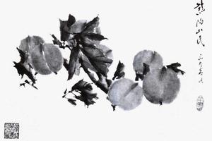 杂画册