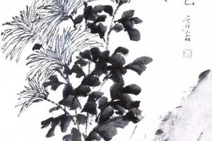 菊石图轴