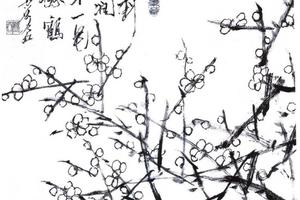 杂画册