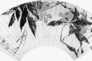 枇杷图扇页