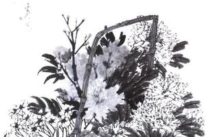 鲜花提篮