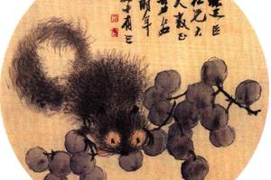桦鼠葡萄纨扇页