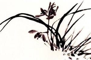 蕙蘭圖橫披