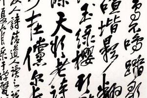 行書六三園赠友人詩軸