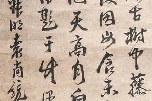 古树群乌图