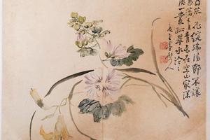 花卉图册