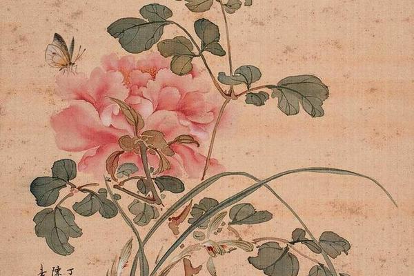 花鸟画