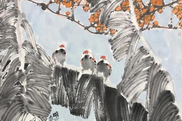 晴雪