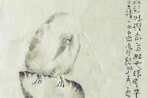 萌