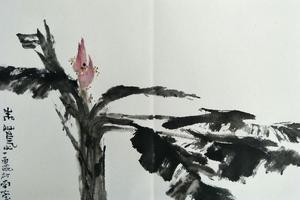 西双版纳写生册