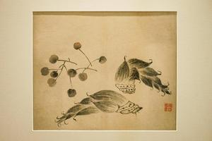 果蔬图册