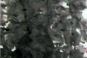 闲花野集之五
