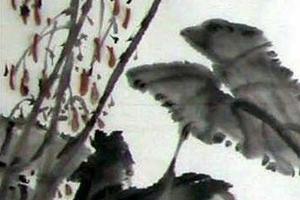 闲花野草集之八