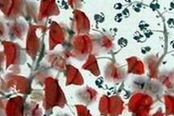 闲花野草集之九