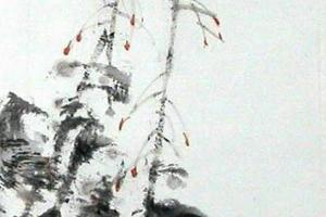 闲花野草集