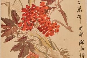 花果图册
