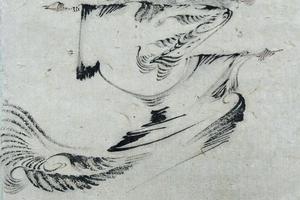 昔者冯夷、大丙之御也，乘云车，入云蜺；游微雾，骛怳忽。
