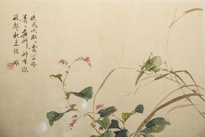 草虫花卉图   其十   草虫图
