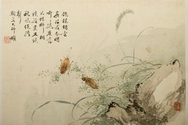 草虫花卉图   其十四   草石蟋蟀图