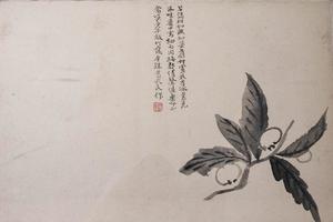花卉图册   其二   枇杷图
