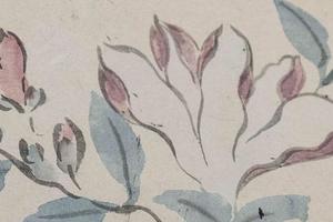 花卉图册   其六   紫玉兰图