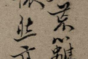 花卉图册   其五   梅花图