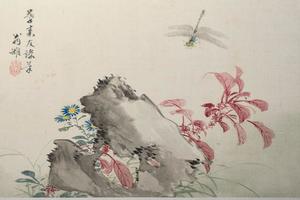 草虫花卉图   其十五   秋英飞蜓图