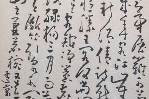 花卉山水人物图    其十一