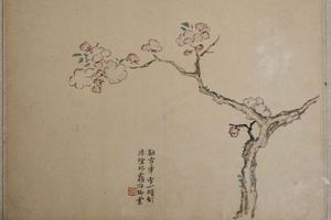 花卉图册   其十   杏花图