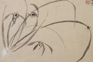 花卉图册   其四   幽兰图