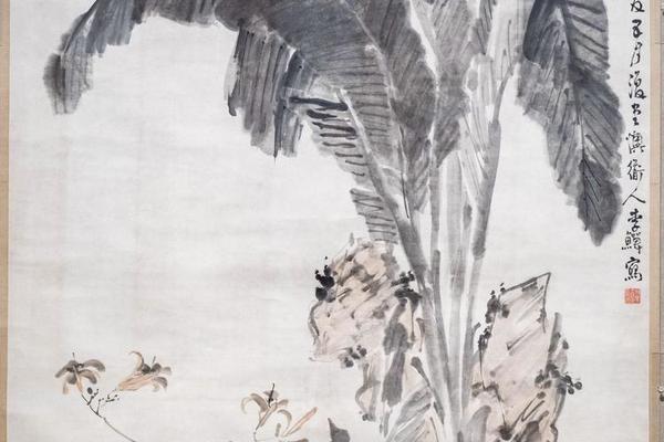 芭蕉萱石图