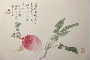 草虫花卉图   其一   蔬果蜗牛图