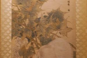 芙蓉白猫图轴