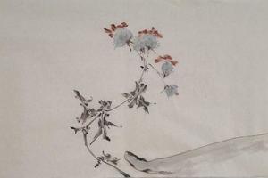 闲花野草