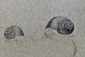 身上驮个家，悠悠走天下