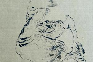 我的小鸟们