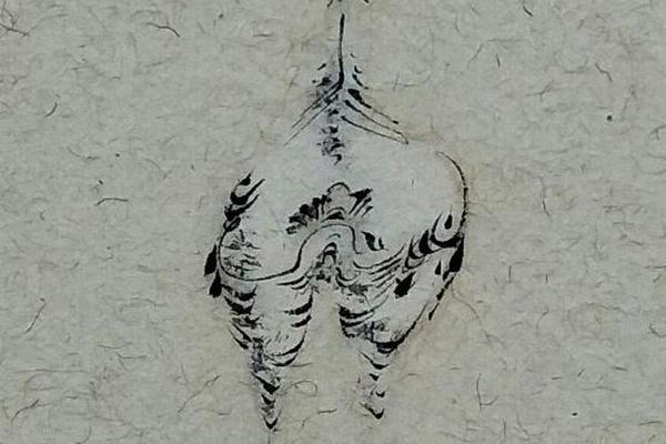我的小鸟们