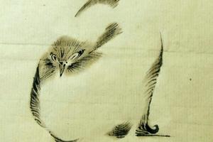 我的小鸟们