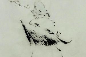 我的小鸟们