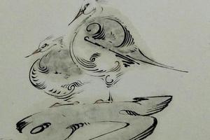 我的小鸟们