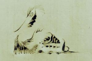 我的小鸟们